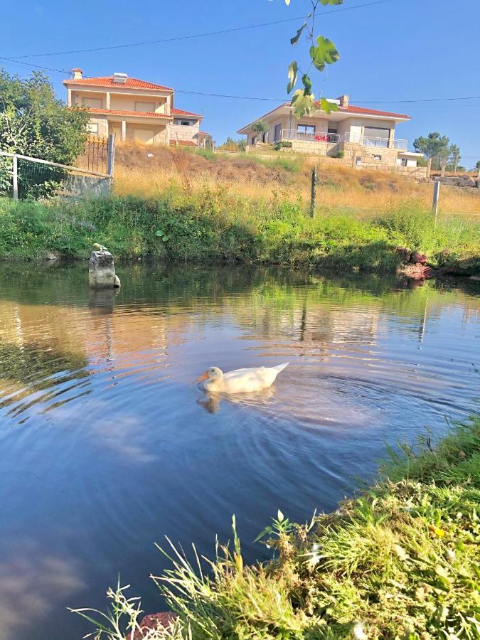 Casa Da Quinta Da Prelada Simao Partie Basse Villa Celorico De Basto Eksteriør bilde