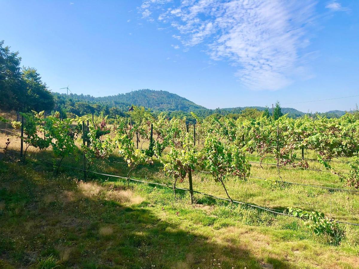 Casa Da Quinta Da Prelada Simao Partie Basse Villa Celorico De Basto Eksteriør bilde